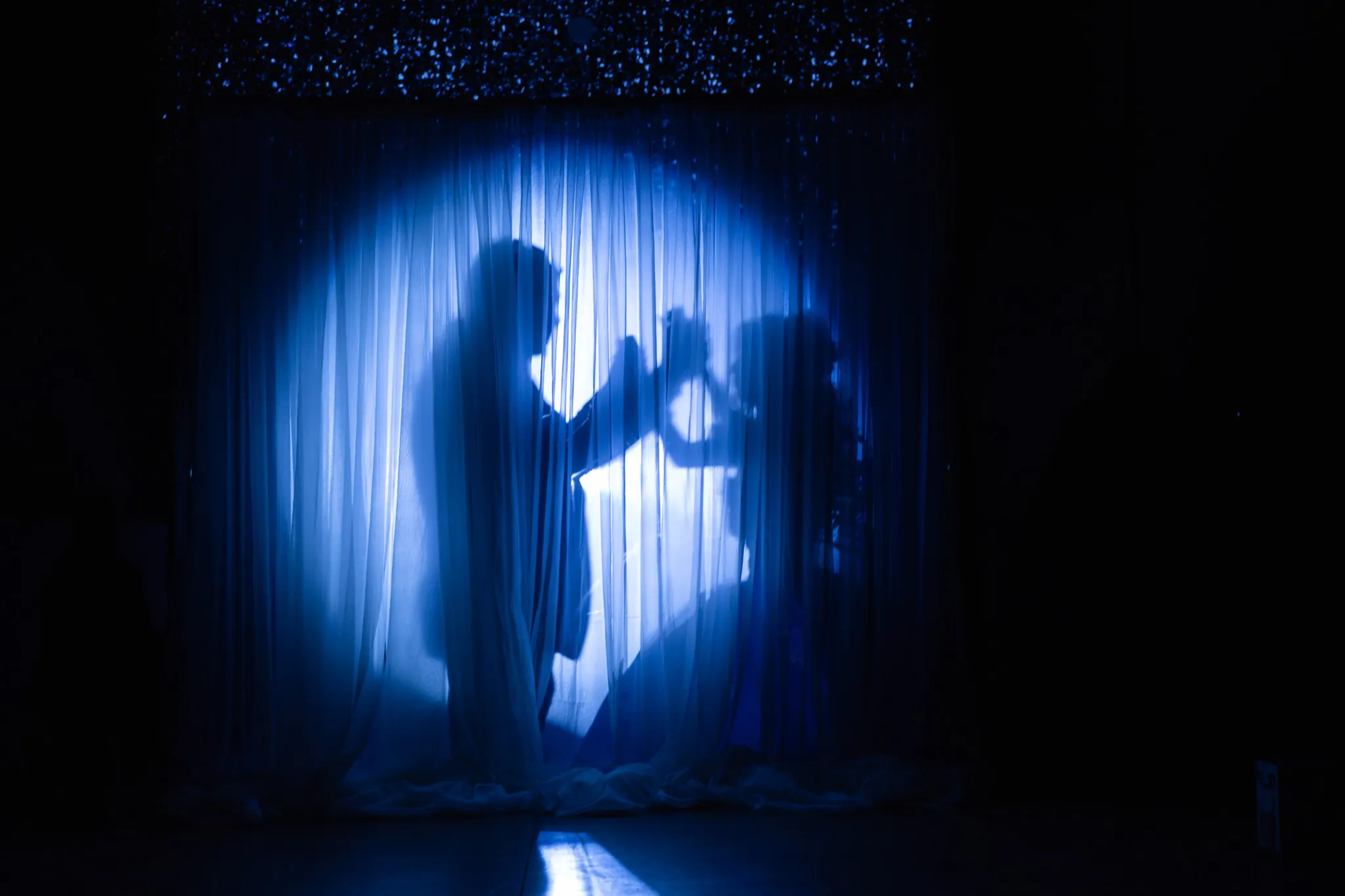 Moonlight Venue Conroe TX 