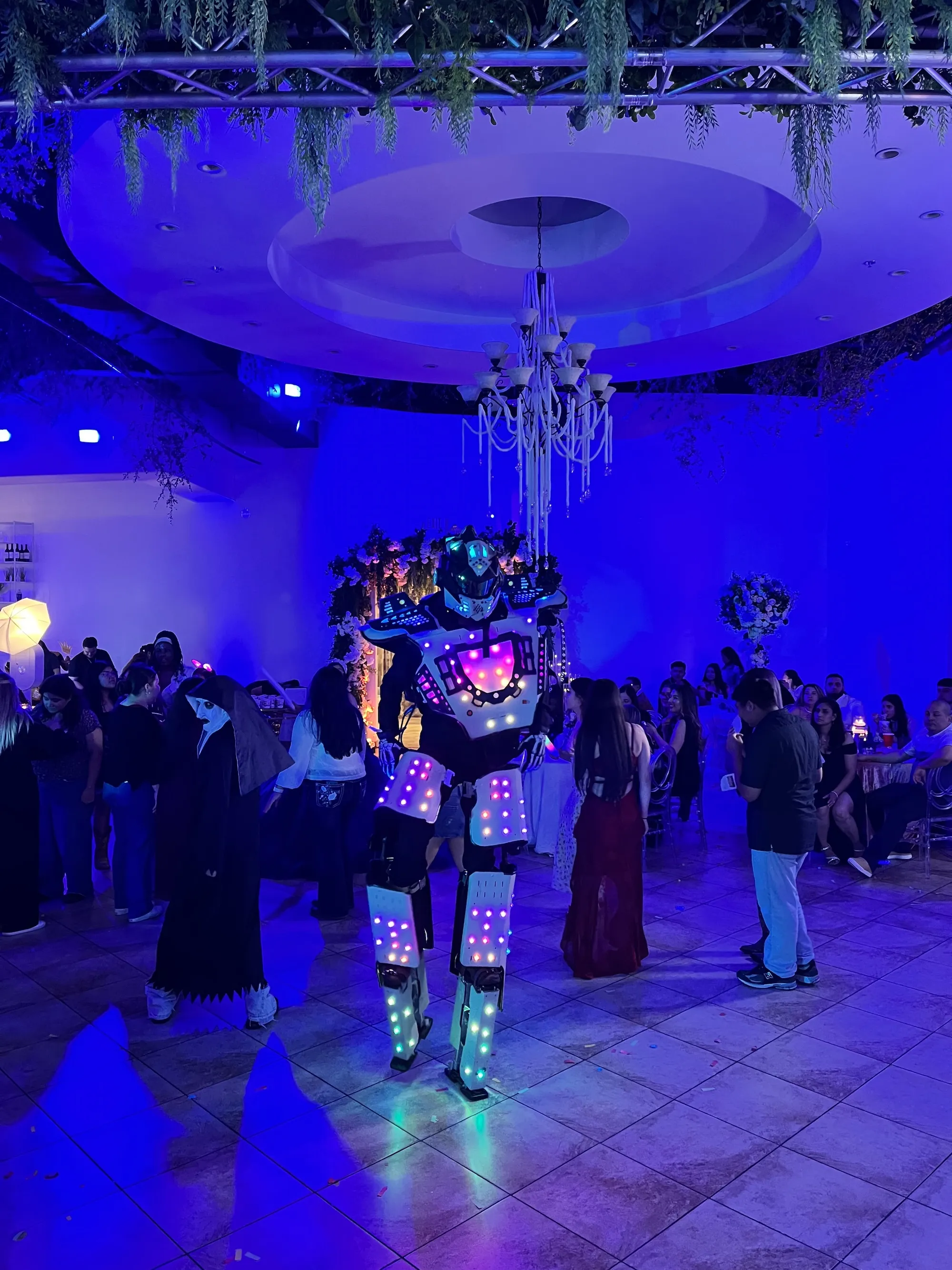 HIlls of Life Led Robot